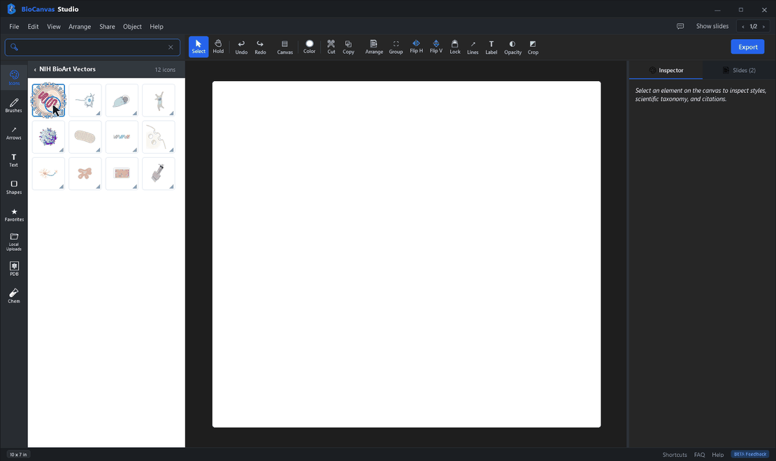 BioCanvas Studio Live Workflow Animation