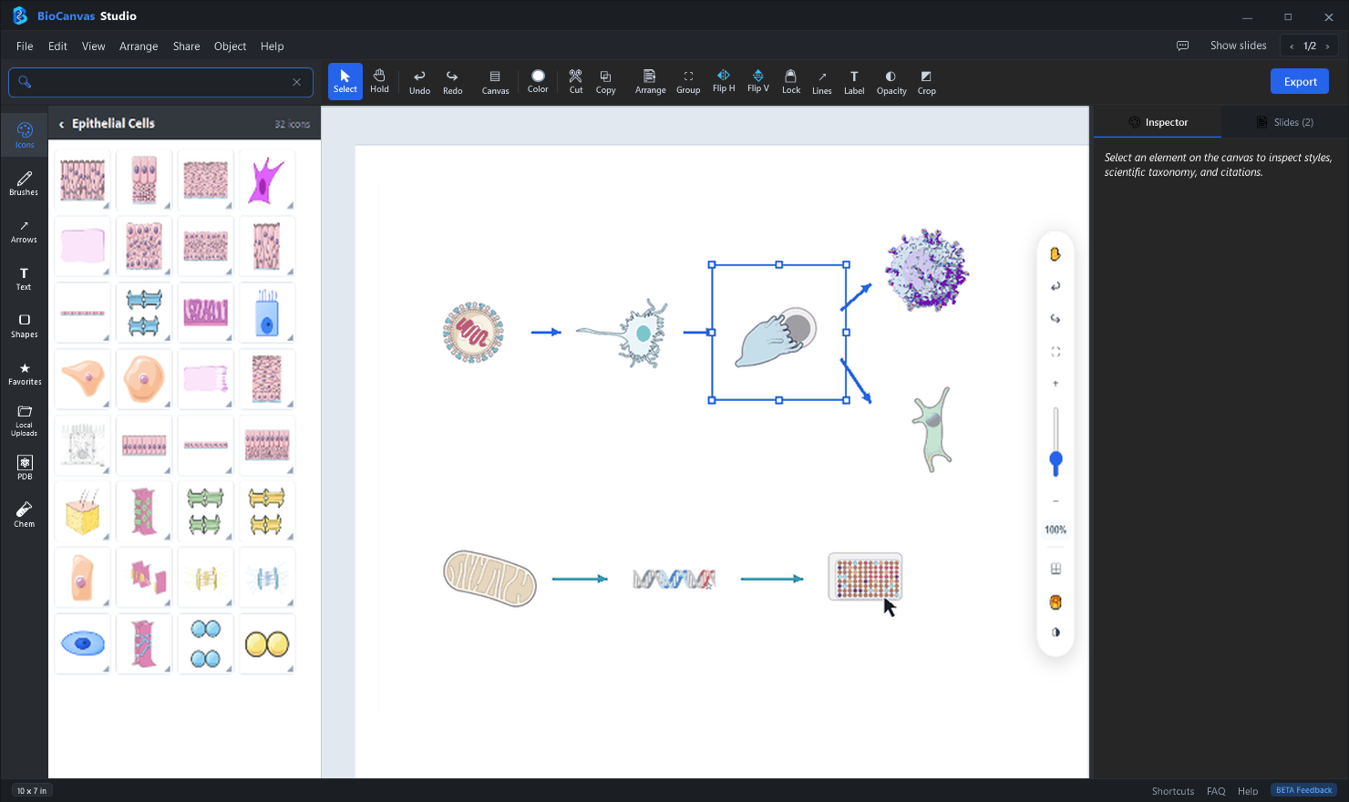 19,862+ Biological Vector Icons