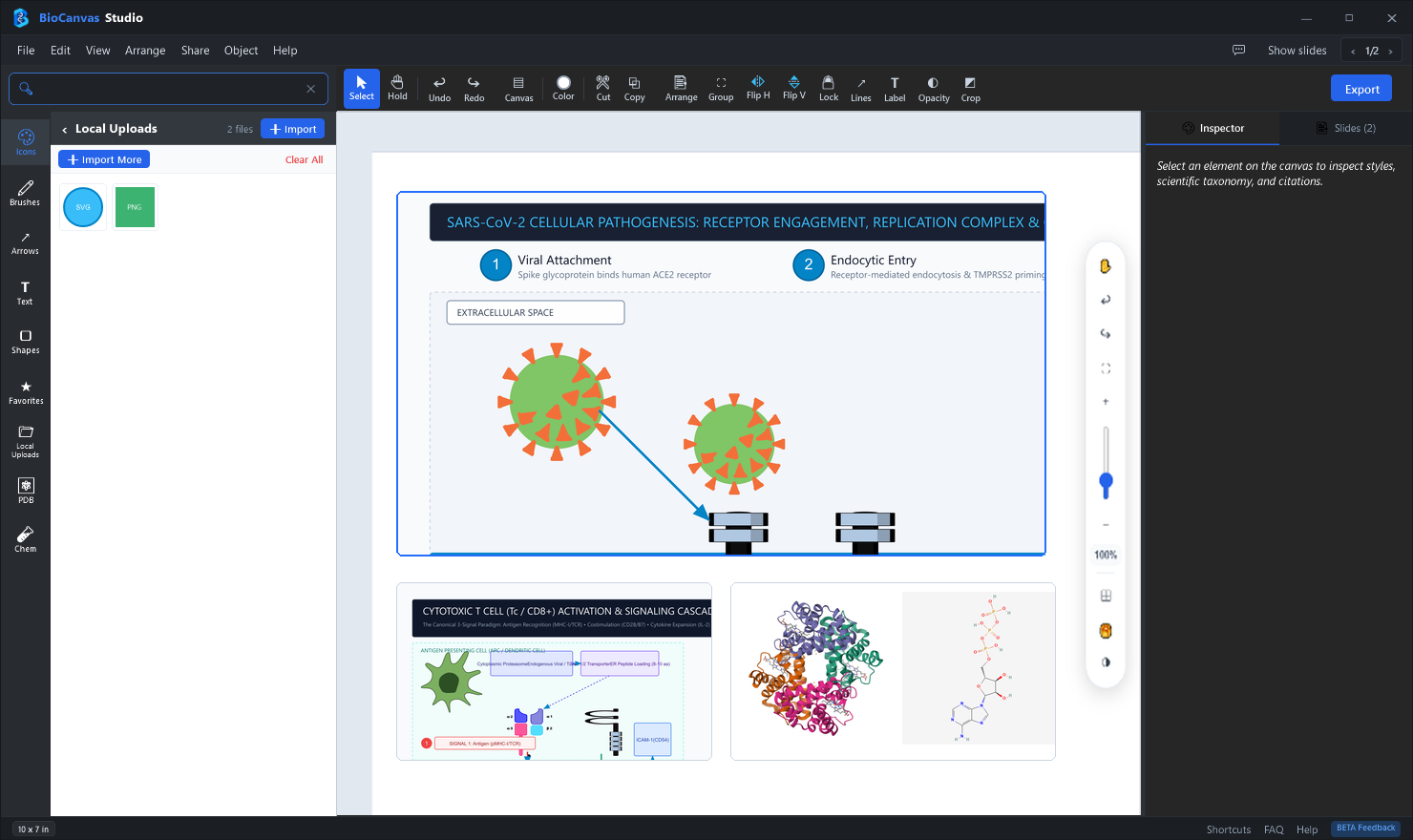 Import Custom SVG PNG PDB and MOL Files